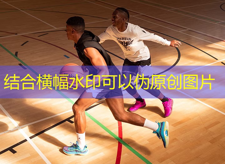 景洪室内健身器材