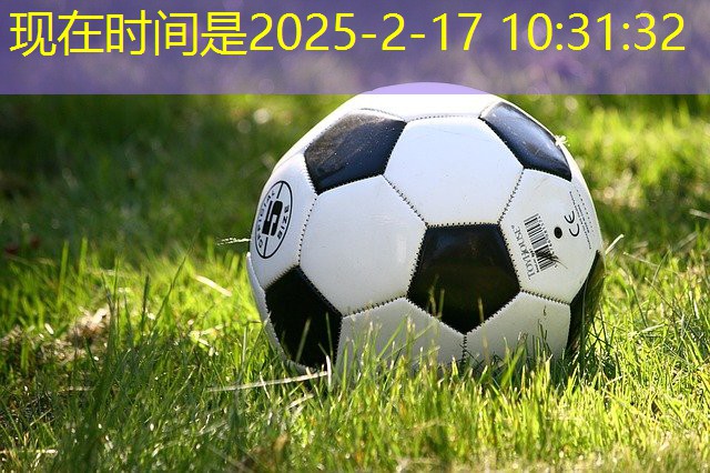 国外无器材健身视频