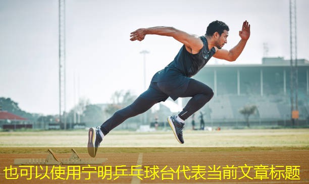 宁明乒乓球台