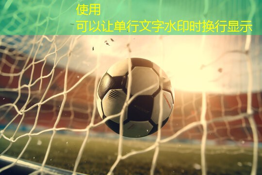 运动场馆在城市防灾减灾中扮演了什么角色？