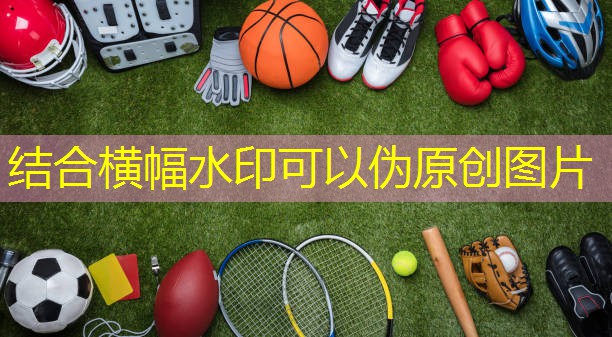 小型健身房必备器材