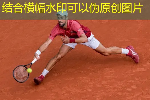 室内两人比赛器材