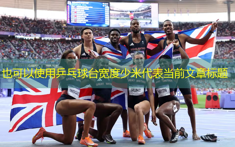 乒乓球台宽度少米