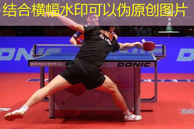 儿童户外游乐设施，激发孩子的求知欲！