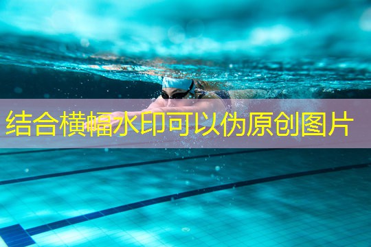 自由力量训练器材