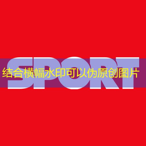 天兴乒乓球台